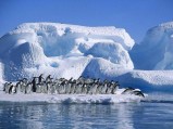 Agencia de Viajes en Buenos Aires. Destino: El Calafate - Argentina 