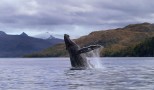 Agencia de Viajes en Buenos Aires. Destino: Patagonia argentina