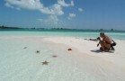 Cayo Largo. Cuba. Paquetes all inclusive desde Argentina. Financiaciones. Último minuto. Consultas a info@puravidaviajes.com.ar Tel. (11) 5235-6677